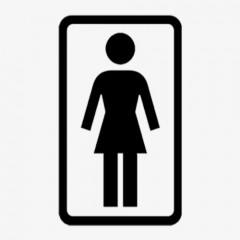 Girl Skateboards