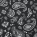 Шкурка для скейтборда dipGRIP Paisley Black Шкурка для скейтборда dipGRIP Paisley Black